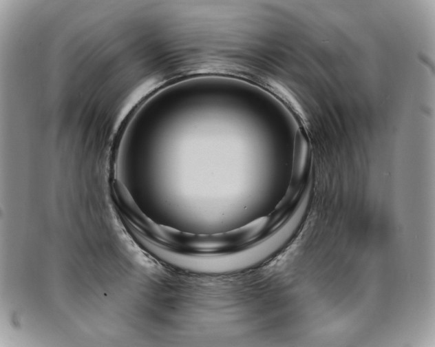 X0000095131138200712071302