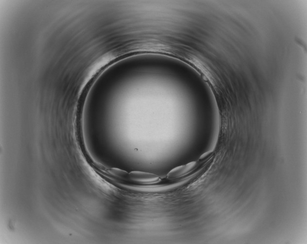 X0000095131139200712071302