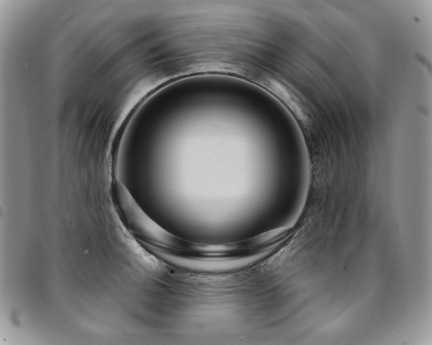 X0000095131140200712071302