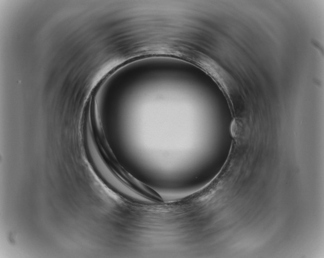 X0000095131141200712071302