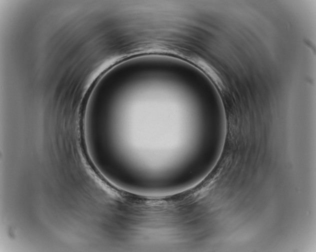 X0000095131142200712071302