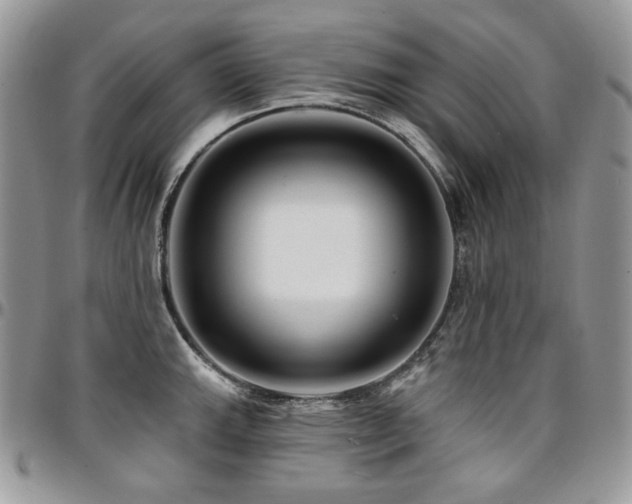 X0000095131143200712071302