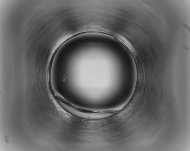 X0000095131144200712071302