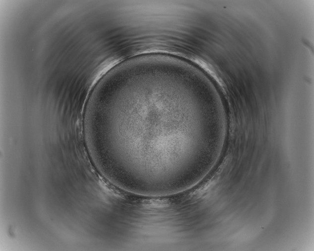 X0000095131145200712071302