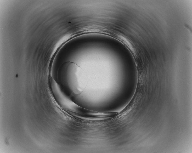 X0000095131146200712071302