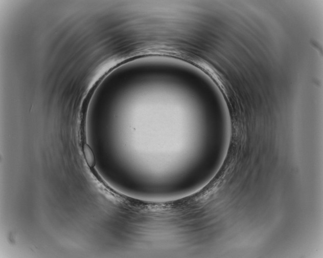 X0000095131147200712071302