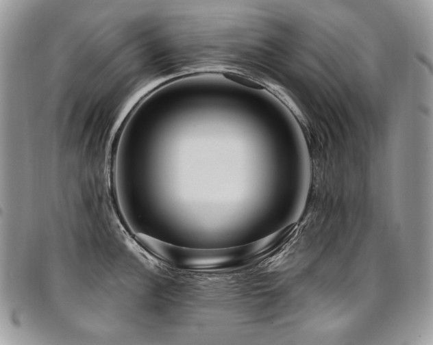 X0000095131148200712071302