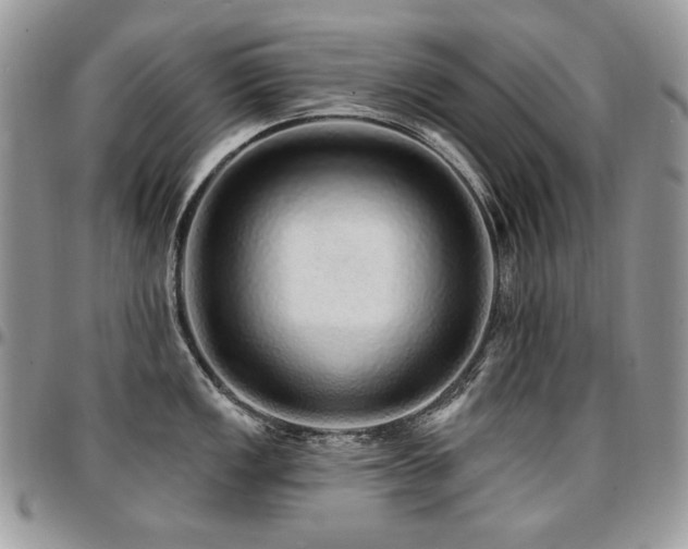 X0000095131149200712071302