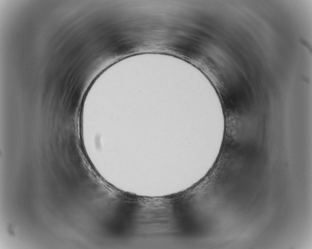 X0000095131150200712071302