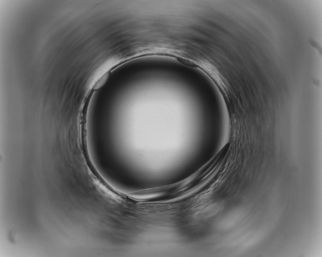 X0000095131151200712071302