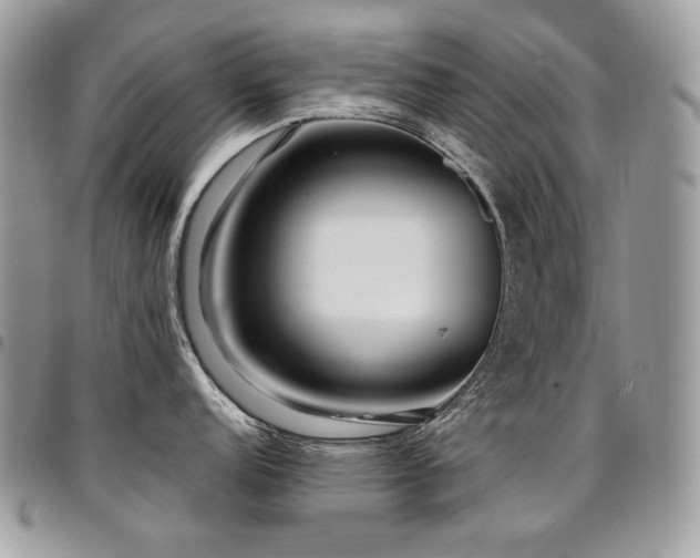 X0000095131152200712071302