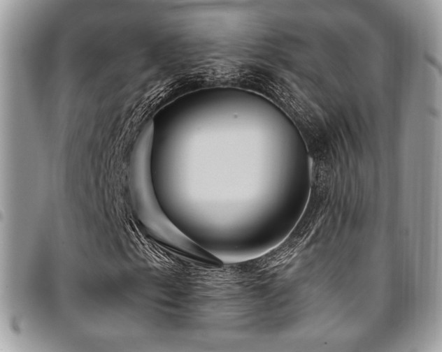 X0000095131153200712071301