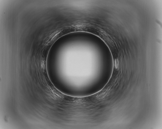 X0000095131155200712071301
