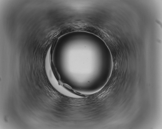 X0000095131156200712071301