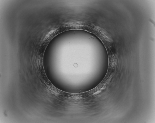 X0000095131157200712071301