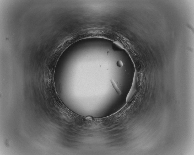 X0000095131158200712071301