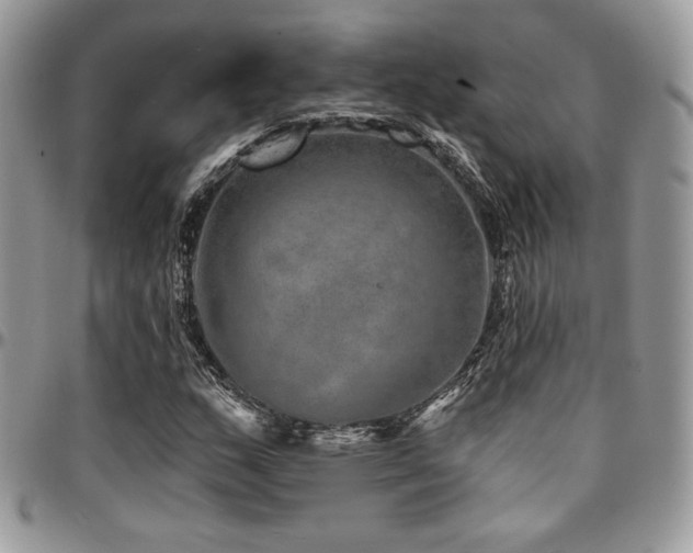 X0000095131159200712071301