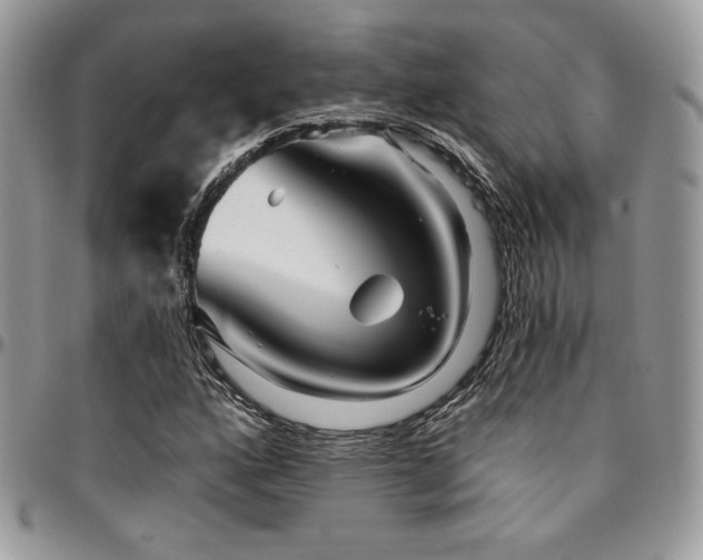 X0000095131160200712071301