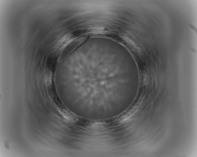 X0000095131161200712071301