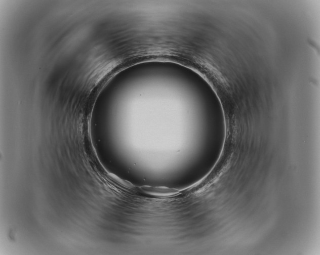 X0000095131162200712071301