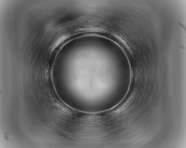 X0000095131163200712071301