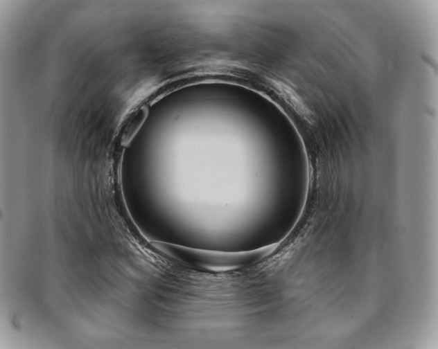 X0000095131164200712071301