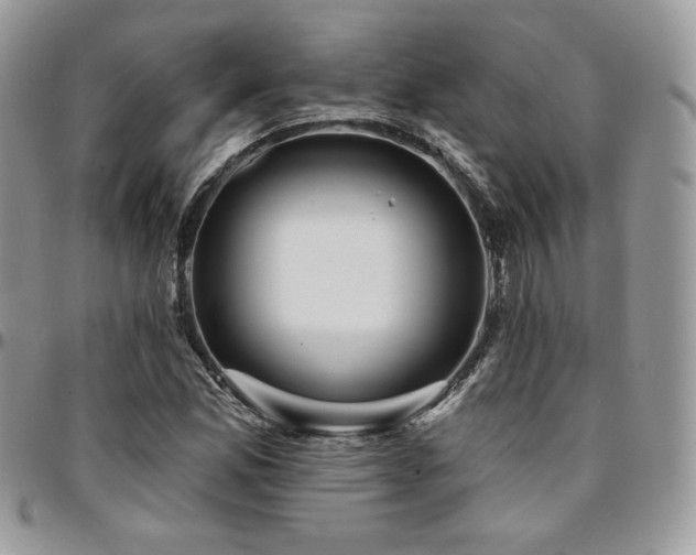 X0000095131165200712071301