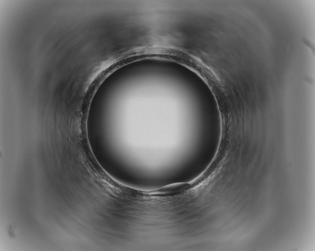 X0000095131166200712071301