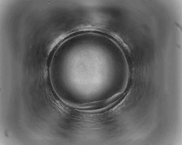 X0000095131167200712071301