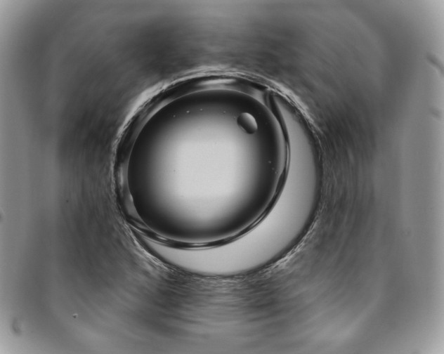 X0000095131168200712071301