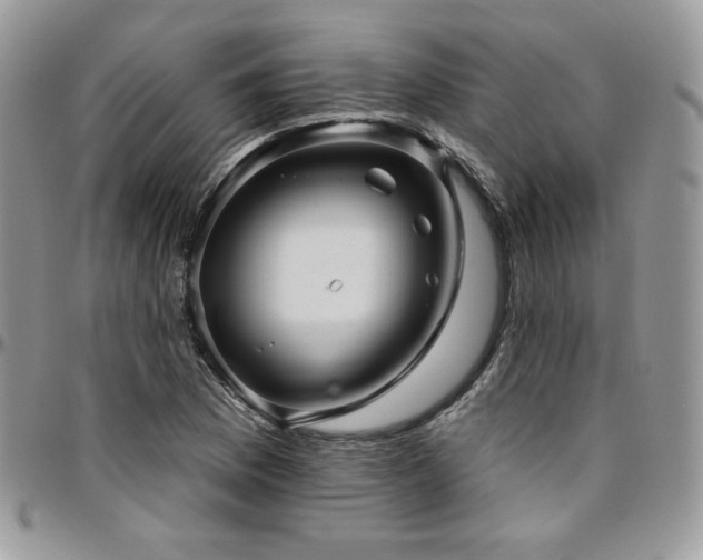 X0000095131169200712071301