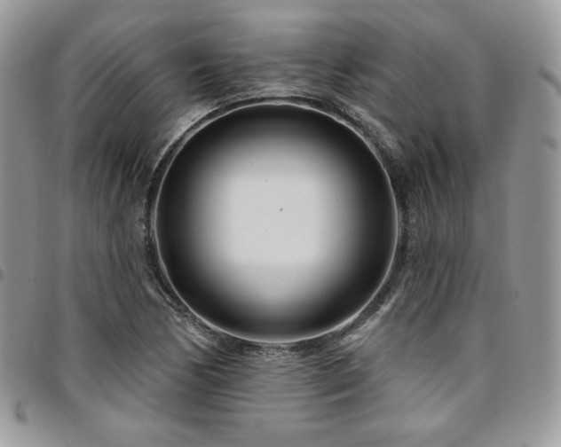 X0000095131170200712071301