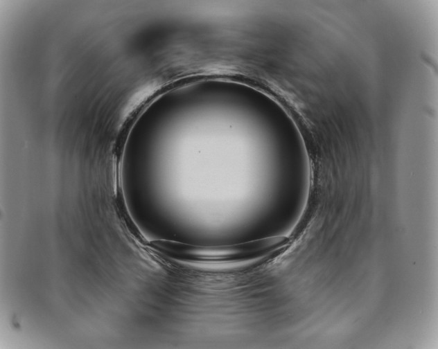 X0000095131171200712071301