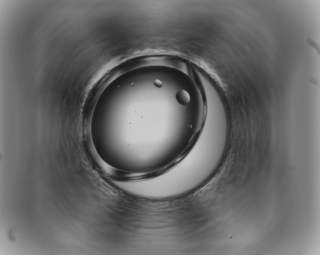 X0000095131173200712071301
