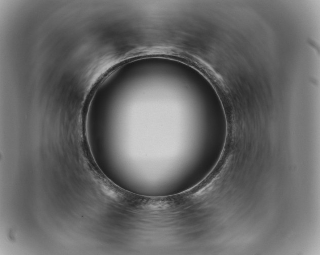 X0000095131174200712071301