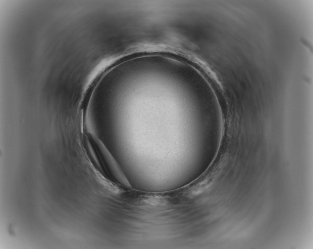 X0000095131175200712071301