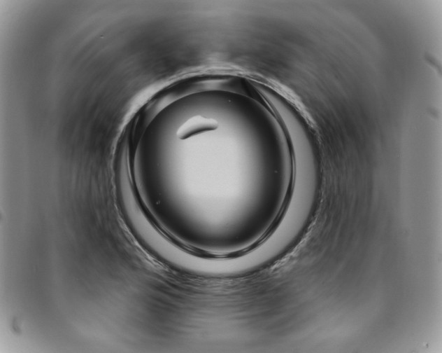 X0000095131176200712071301