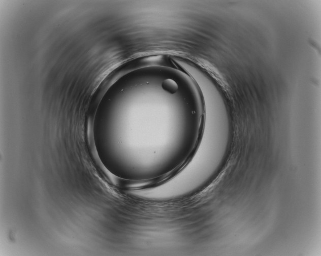 X0000095131177200712071301