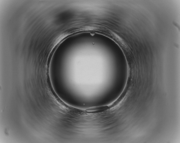 X0000095131178200712071301