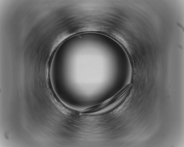 X0000095131179200712071301