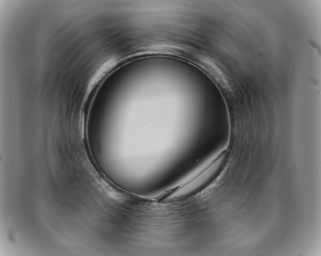 X0000095131180200712071301