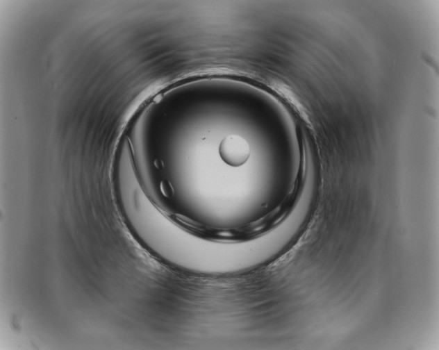 X0000095131181200712071301