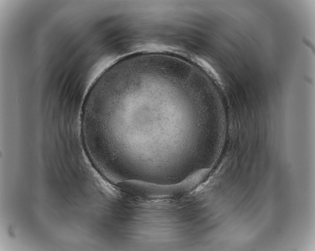 X0000095131183200712071300