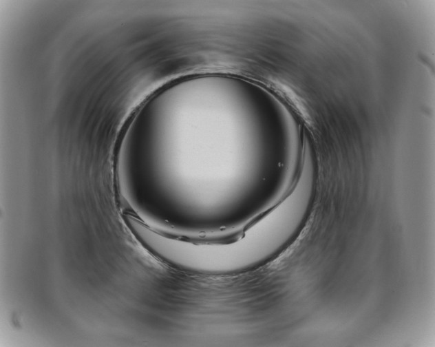 X0000095131184200712071300