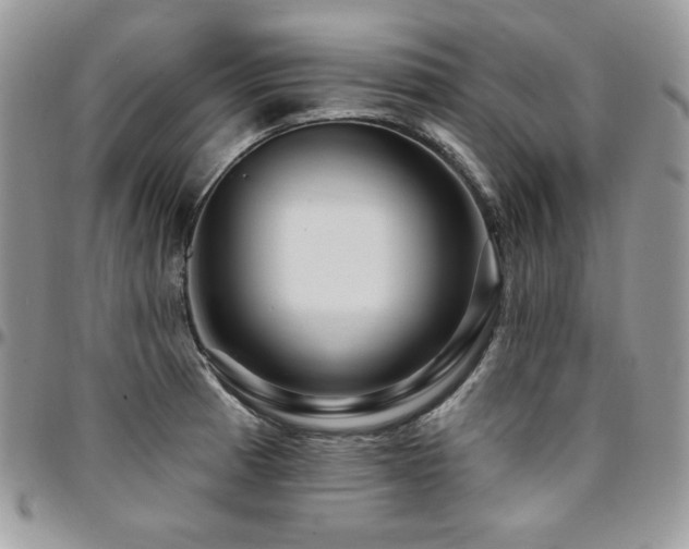 X0000095131185200712071300