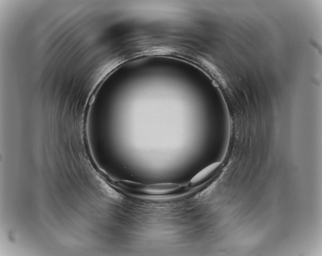 X0000095131186200712071300