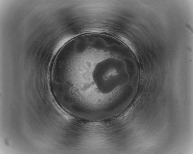 X0000095131187200712071300