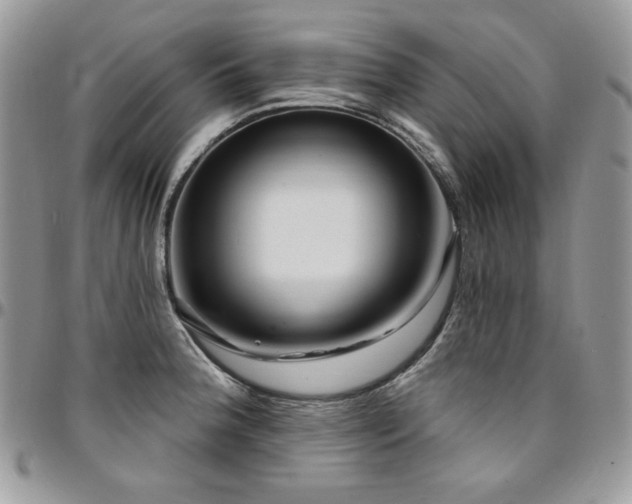 X0000095131188200712071300