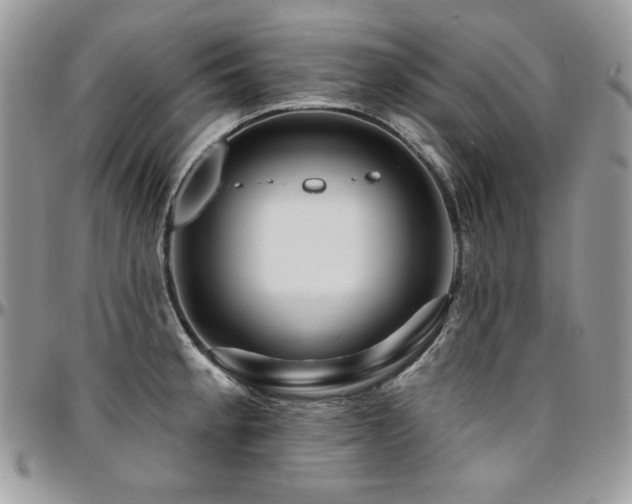 X0000095131189200712071300