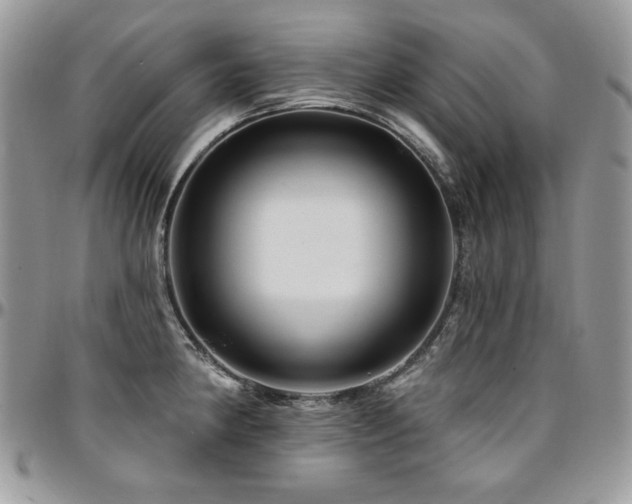 X0000095131190200712071300